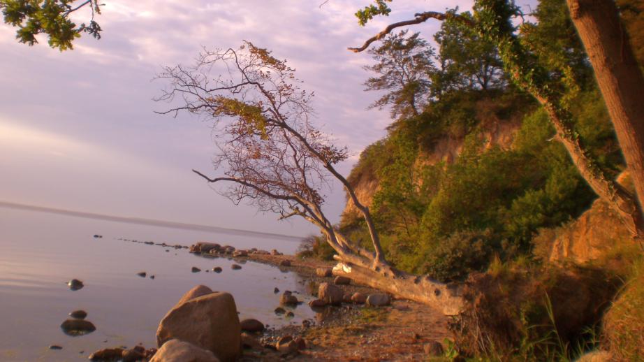 Foto:Wilde Ostseeküste